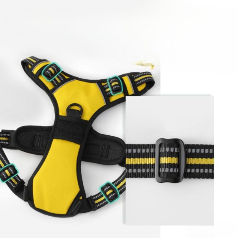 Dog No-Pull Pet Harness With 2 Leash Clips