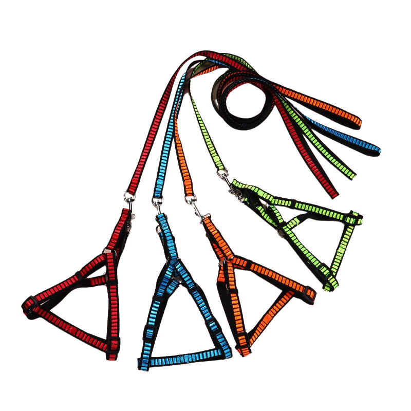 Dog Outdoor Harness And Leash Set