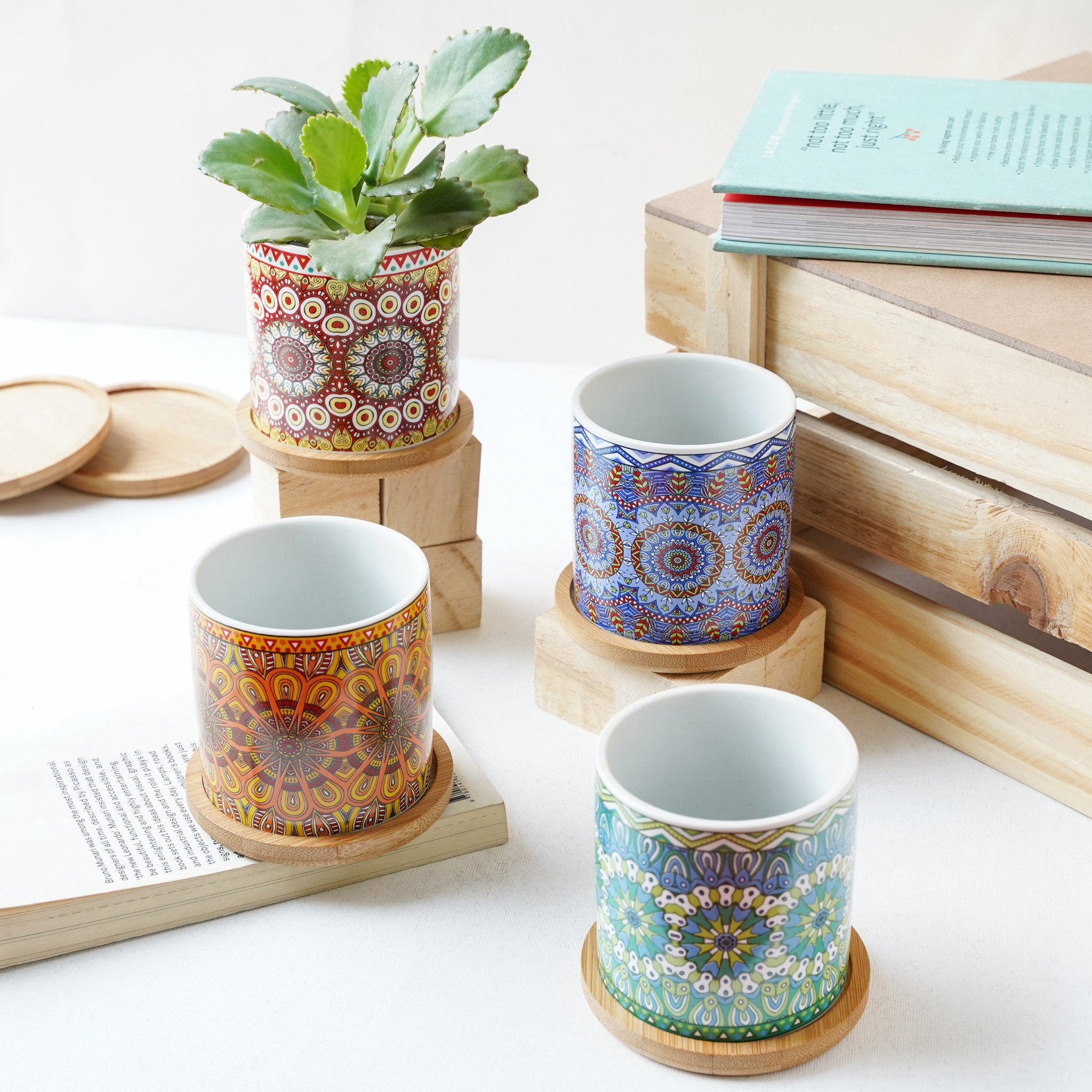 House Plant Pots