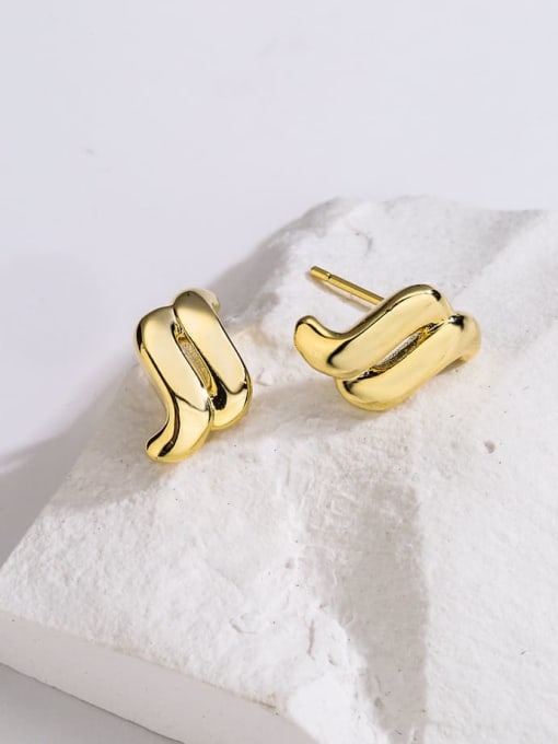 Soft S Shape Earrings