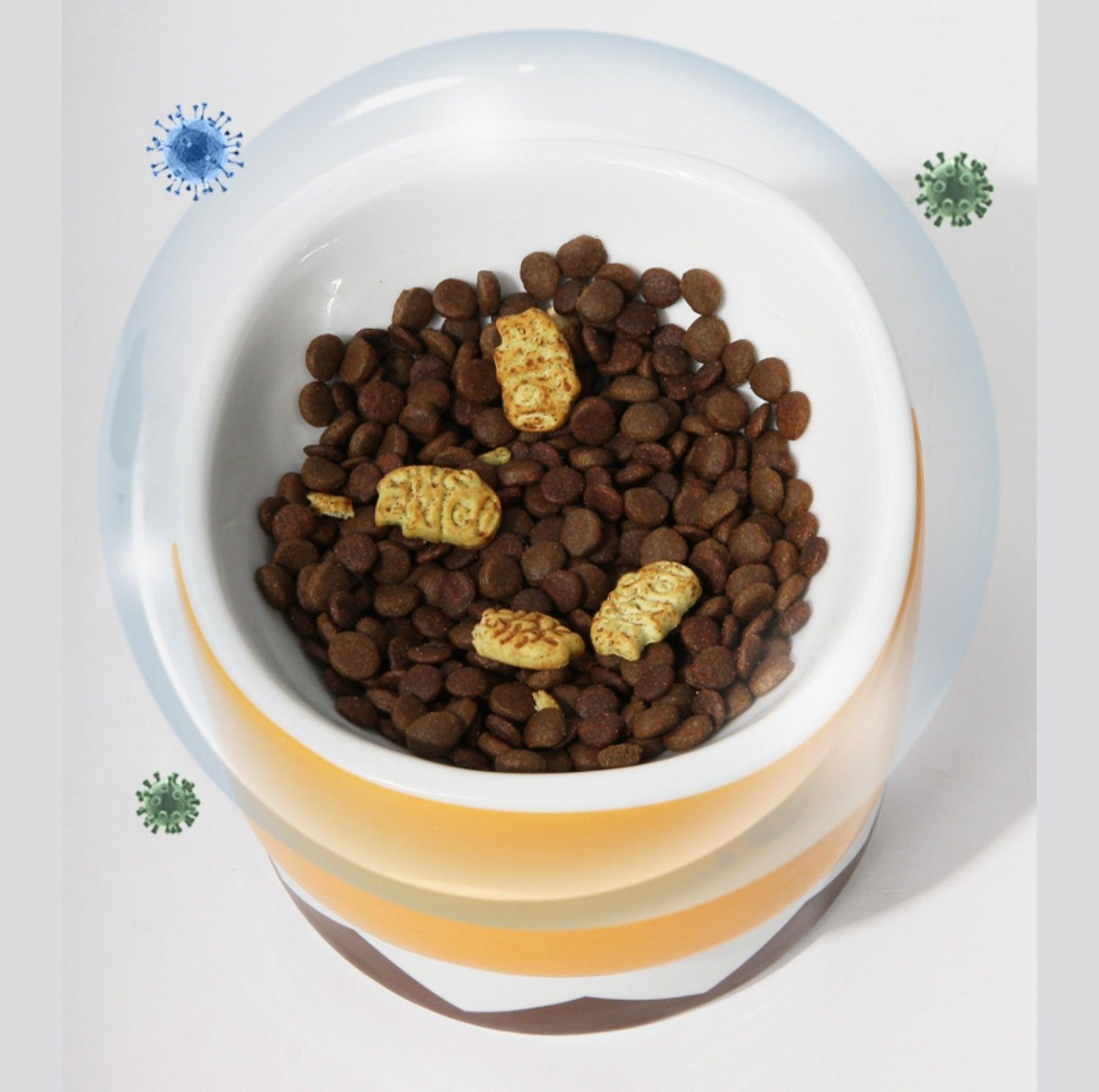 Ceramic Eagle Mug & Pet Bowl Set for You and Your Furry Friend