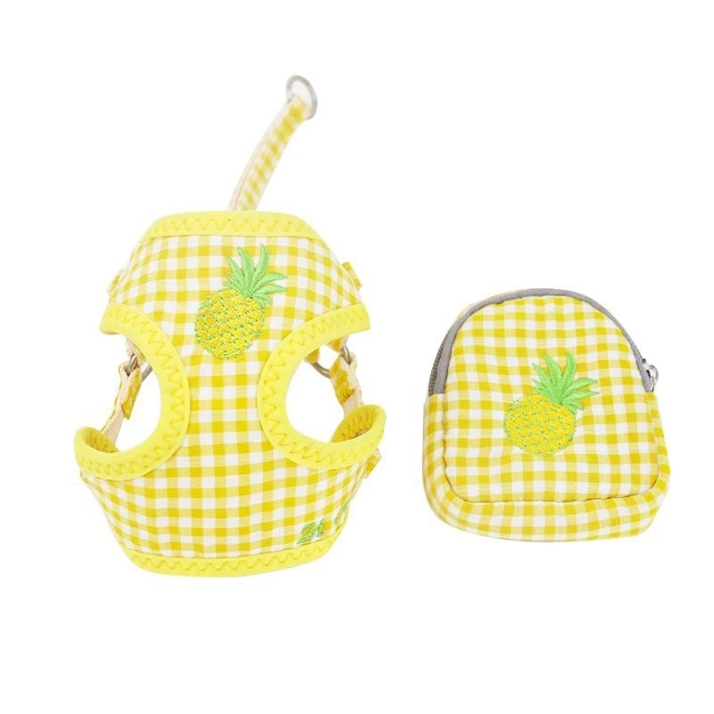 Minimalist Classic Style Nylon Letter Color Block Leash