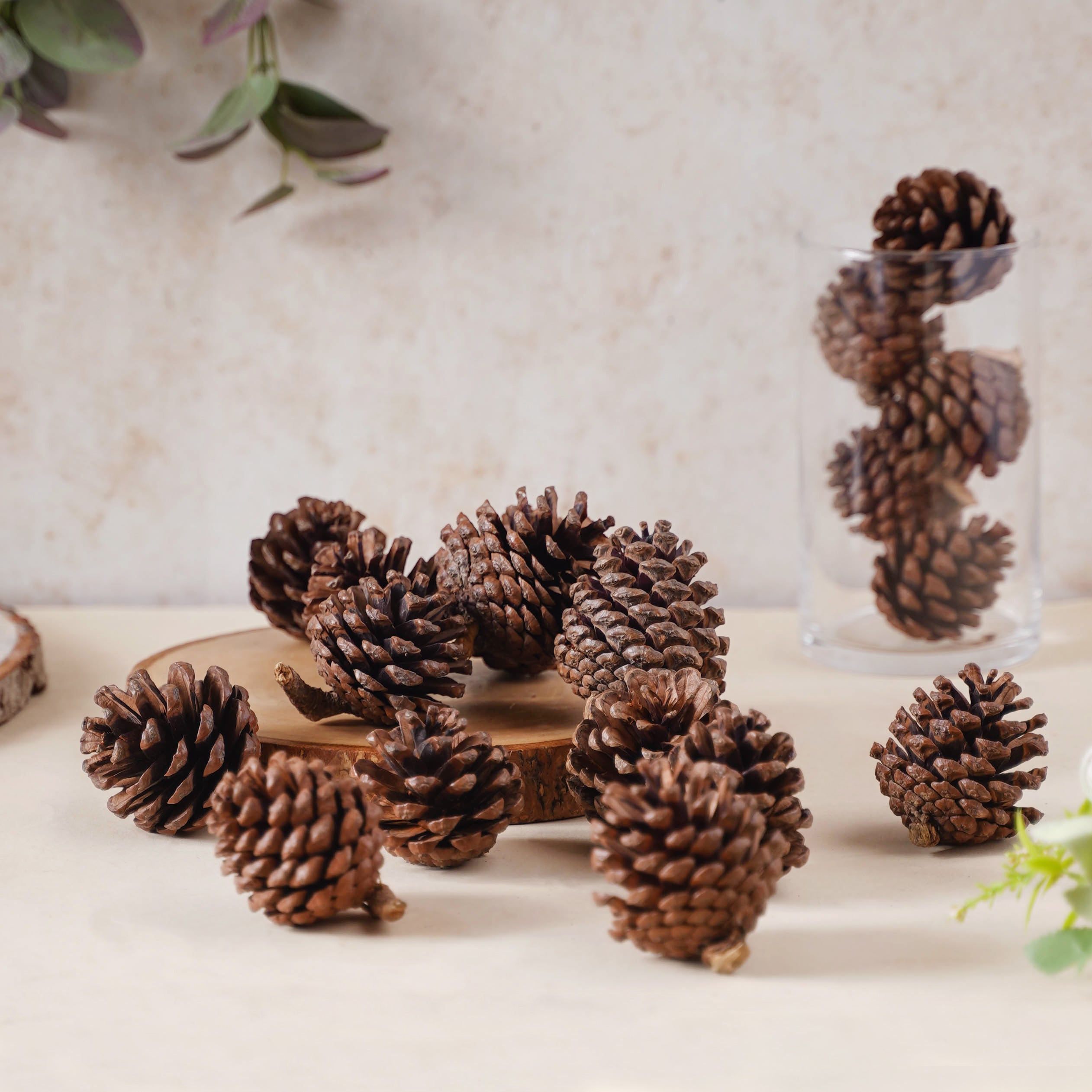 Decorative Cones