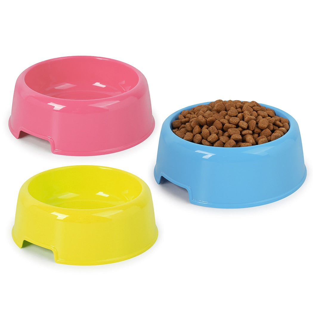 Pastel Dog Bowl