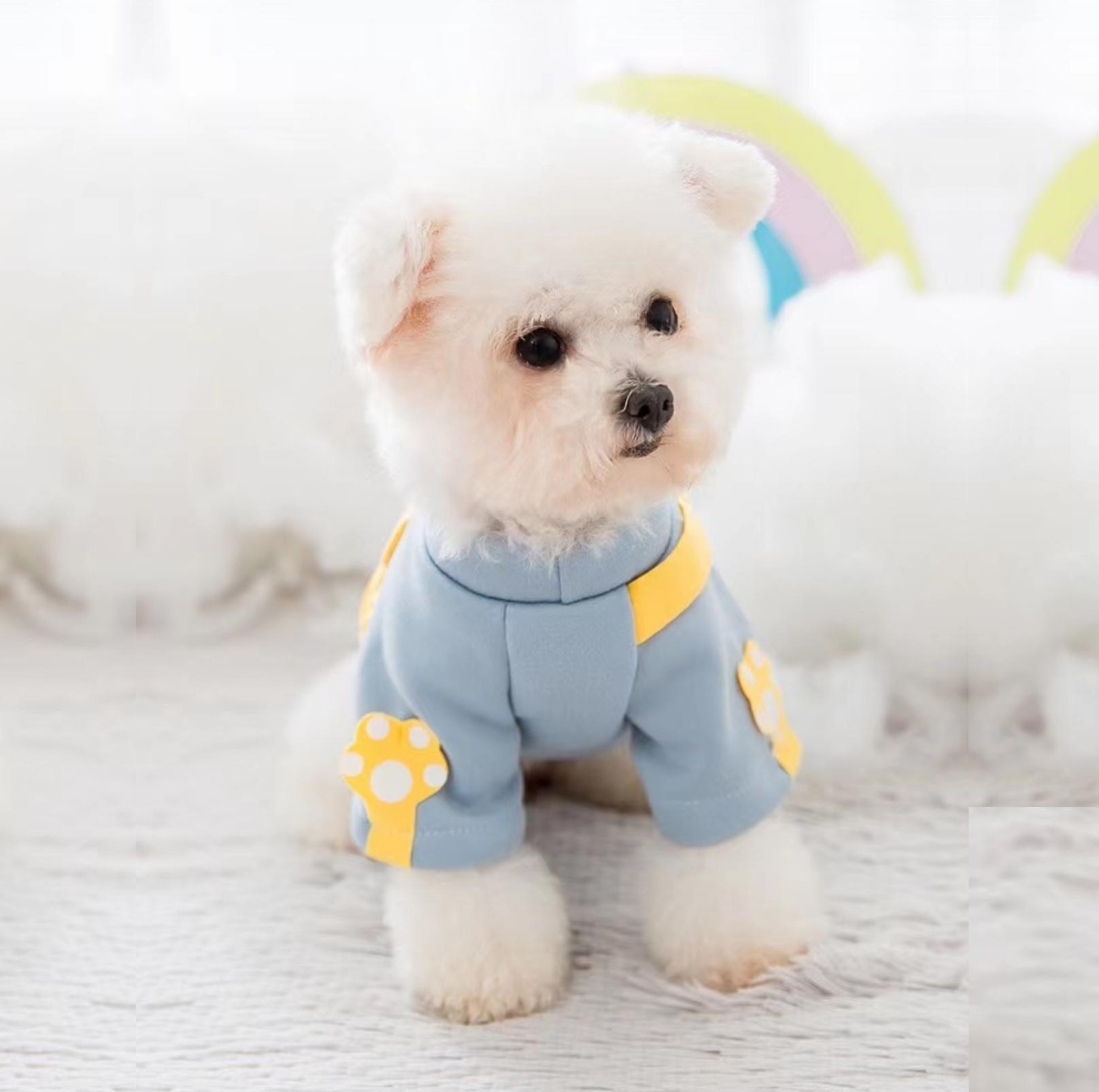 Warm and Fashionable Pet Sweater with Crossbody Bag