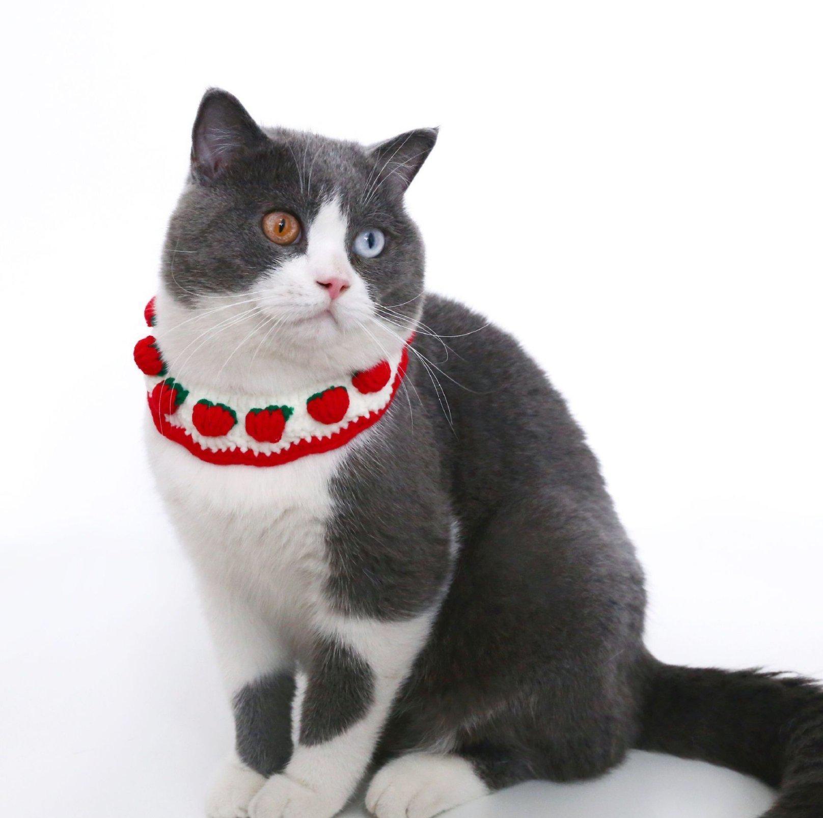 Knitted Cute Strawberry Pet Collar