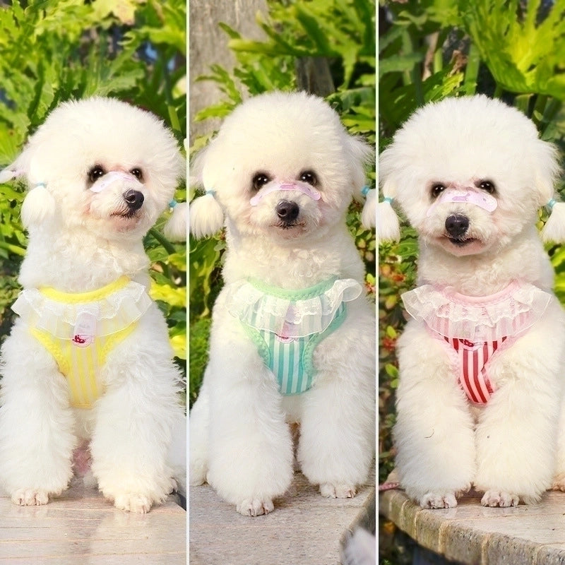 Minimalist Classic Style Nylon Letter Color Block Leash