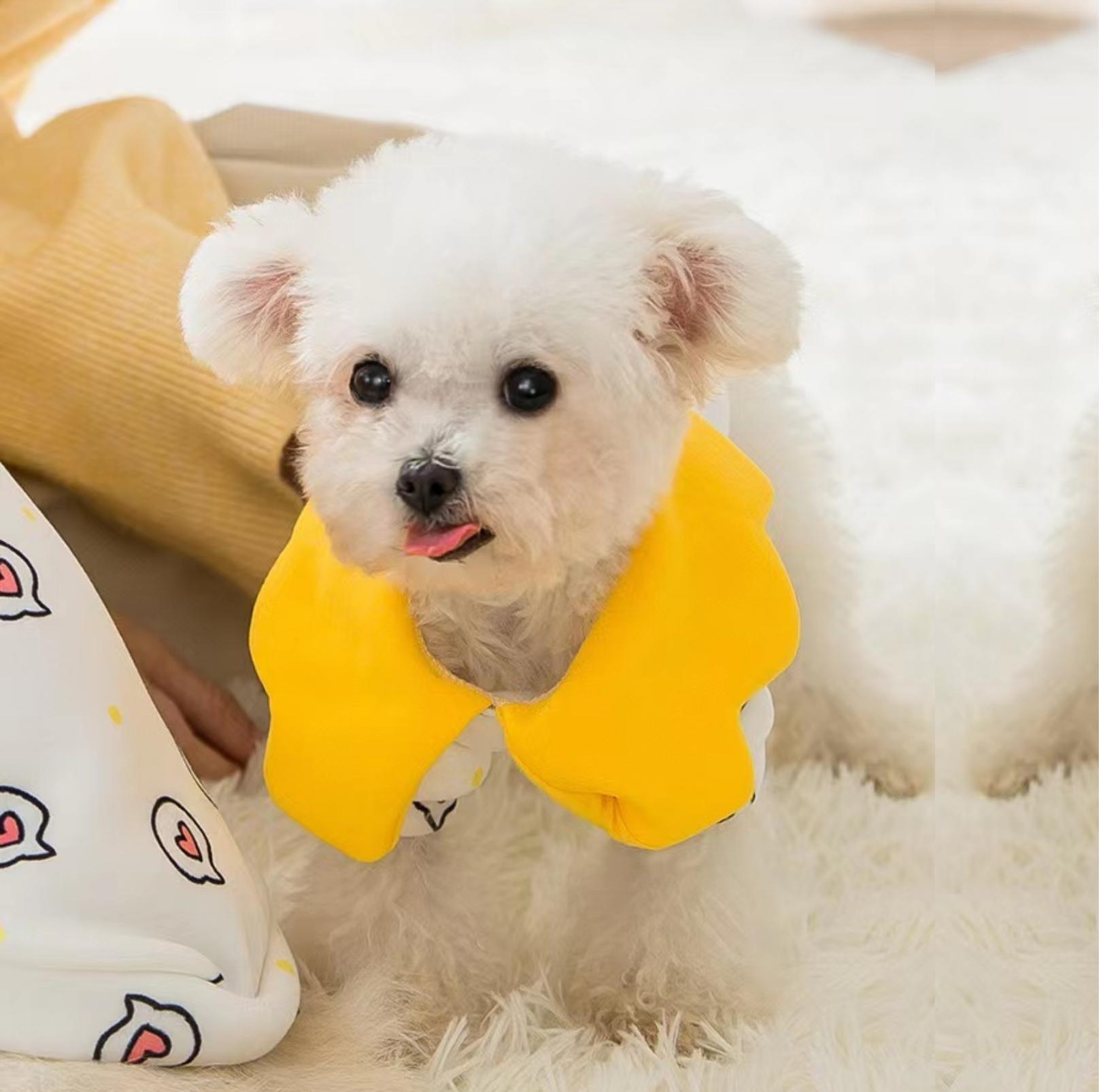 Spring Heart Dot Cartoon Pet Sweatshirt