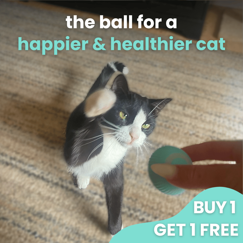 🎁2023-Christmas Hot Sale🎁The original rolling smart ball