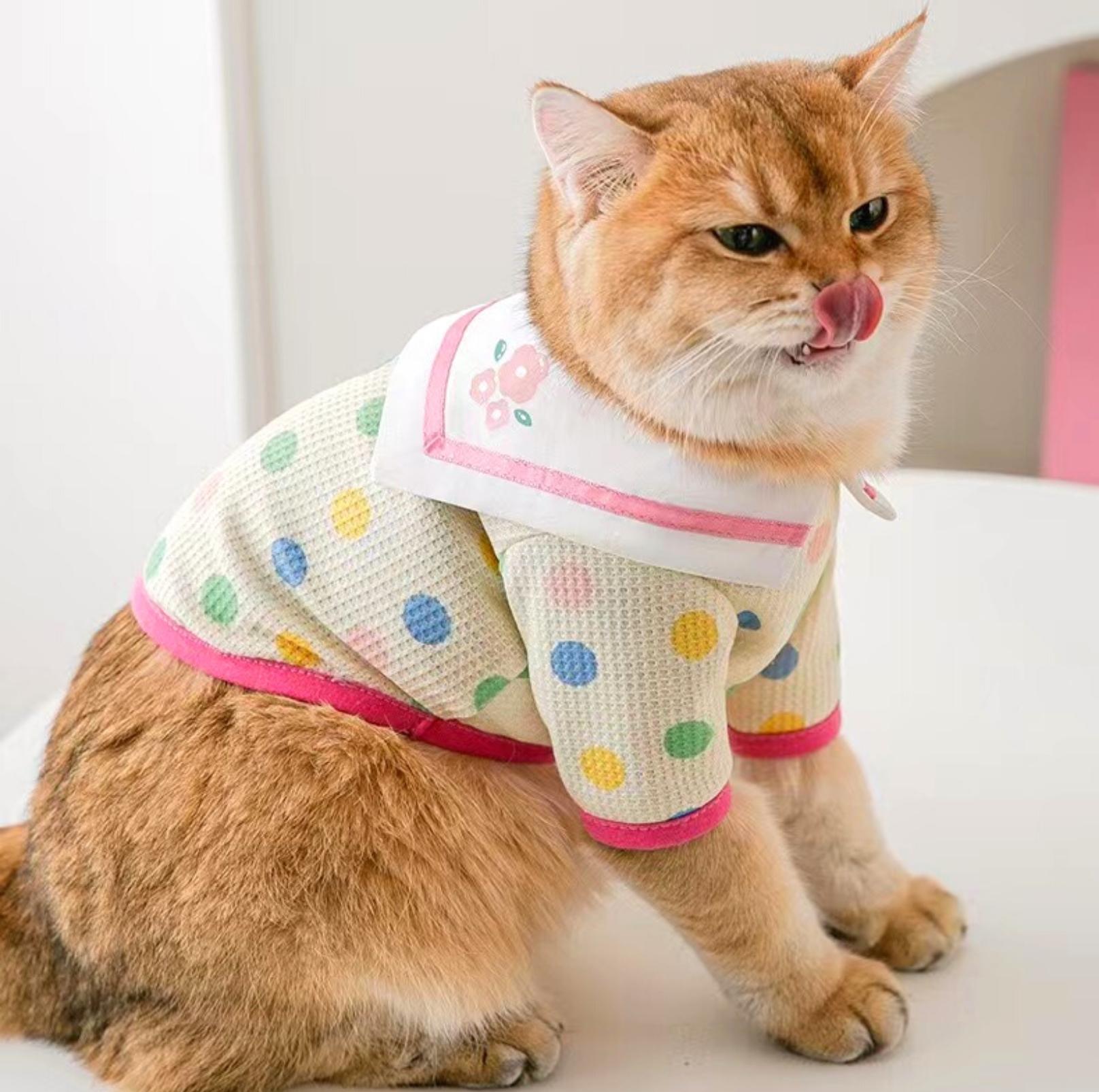 Charming Naval Collar Pet T-shirt with Colourful Dots