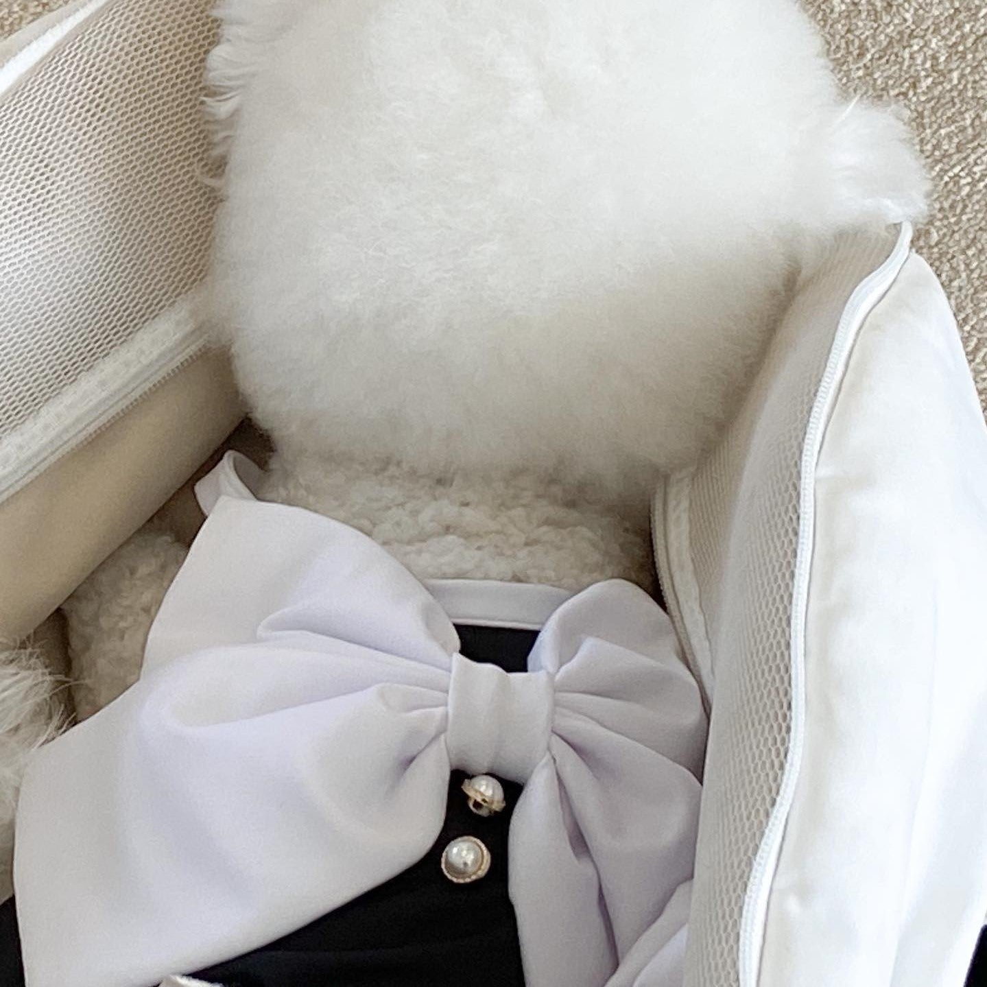 Large Bow Dog Cat Swimsuit