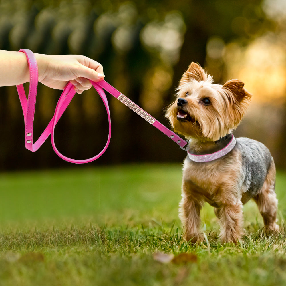 Sparkly Pet Collar Leash Set