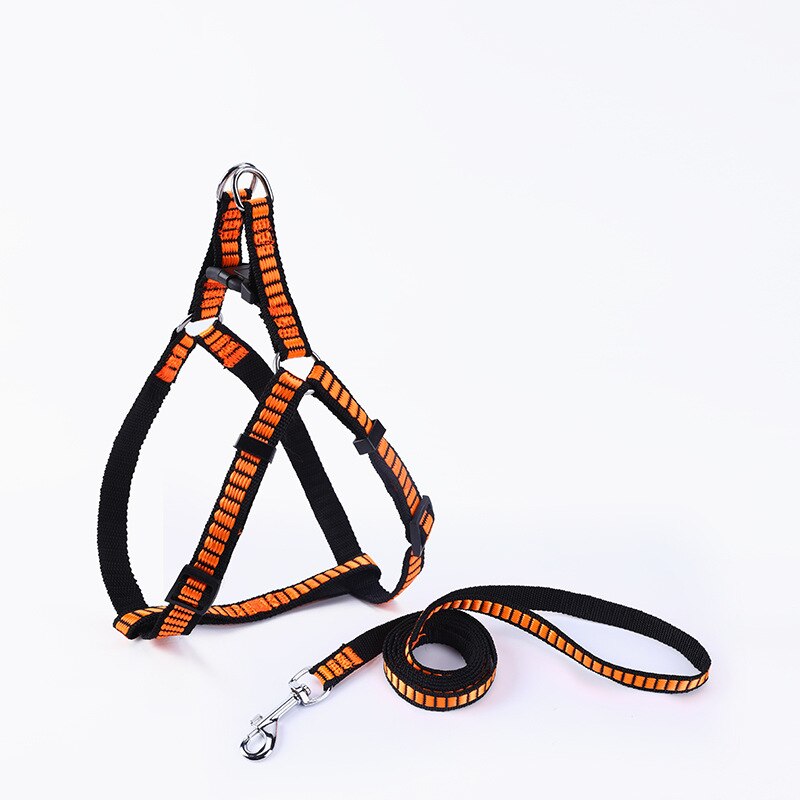 Dog Outdoor Harness And Leash Set