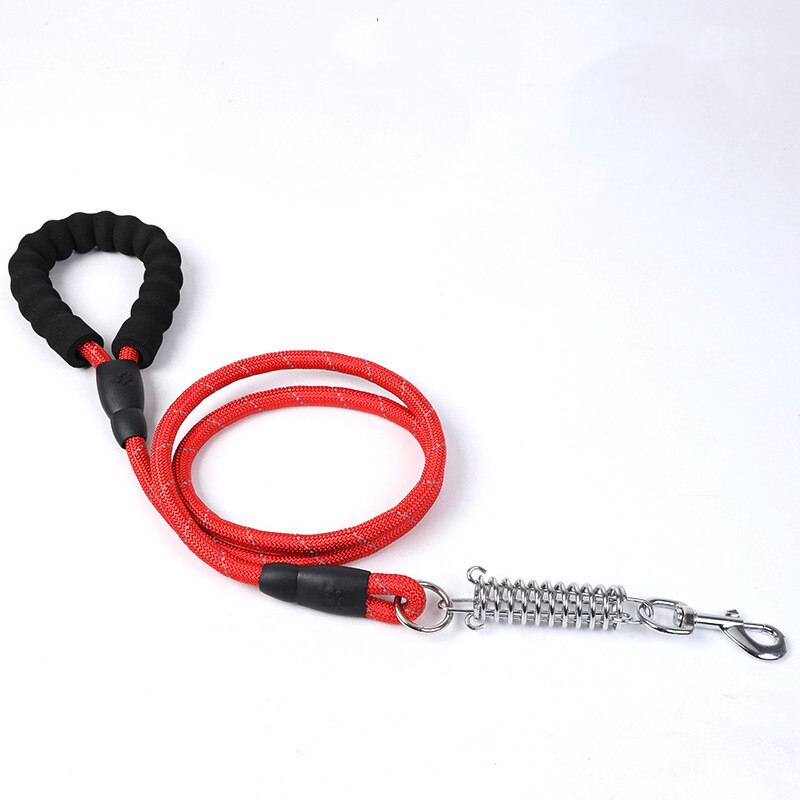 Large Dog Collar And Leash