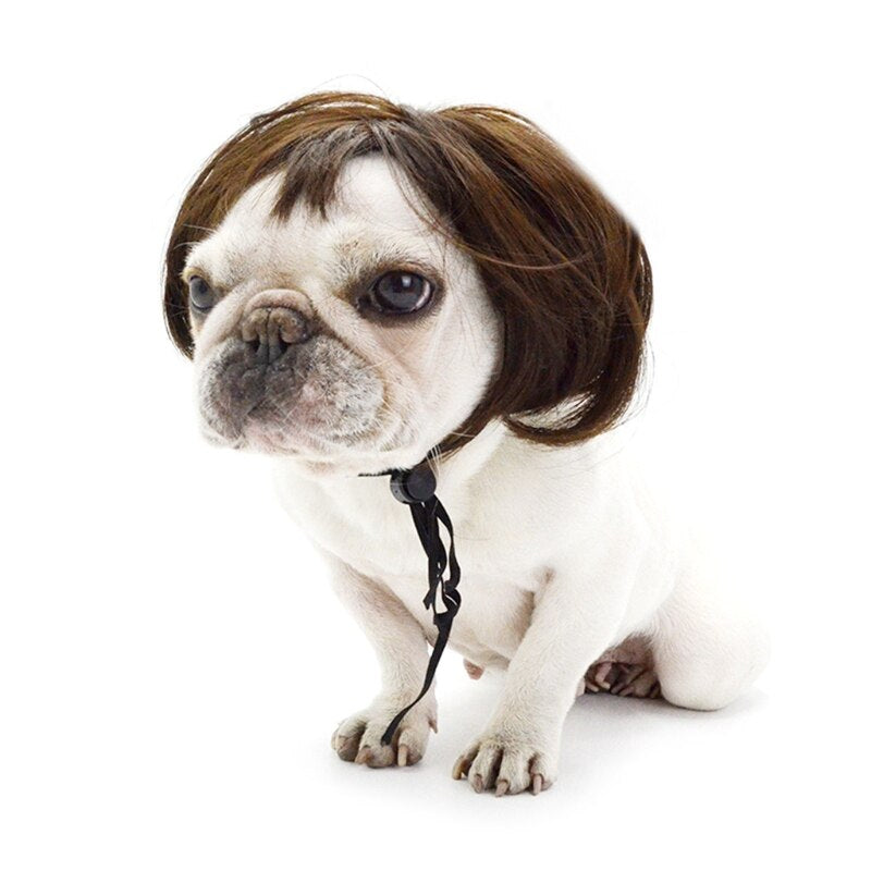 Head Wigs Pet Costumes