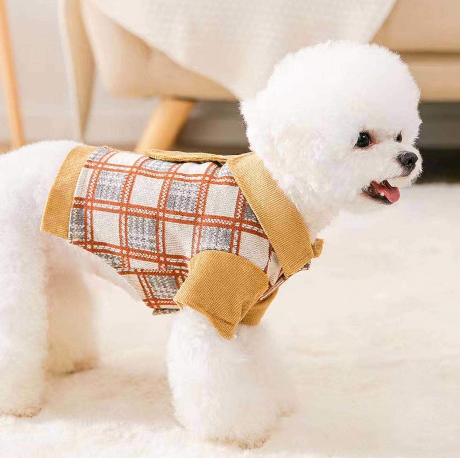 College-Style Knitted Polo Pet Shirt