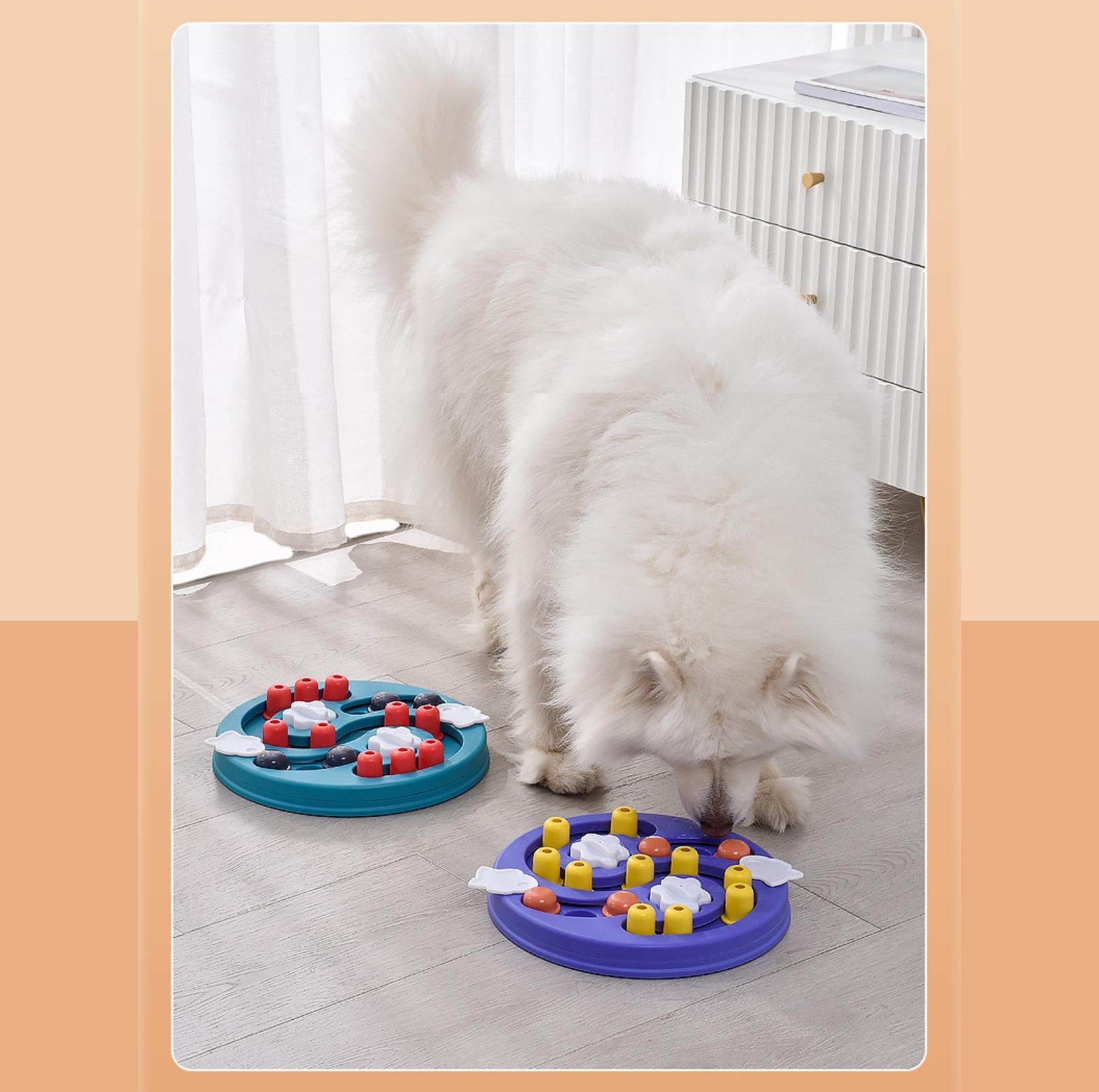 Interactive Colourful Dog Puzzle Training Toy