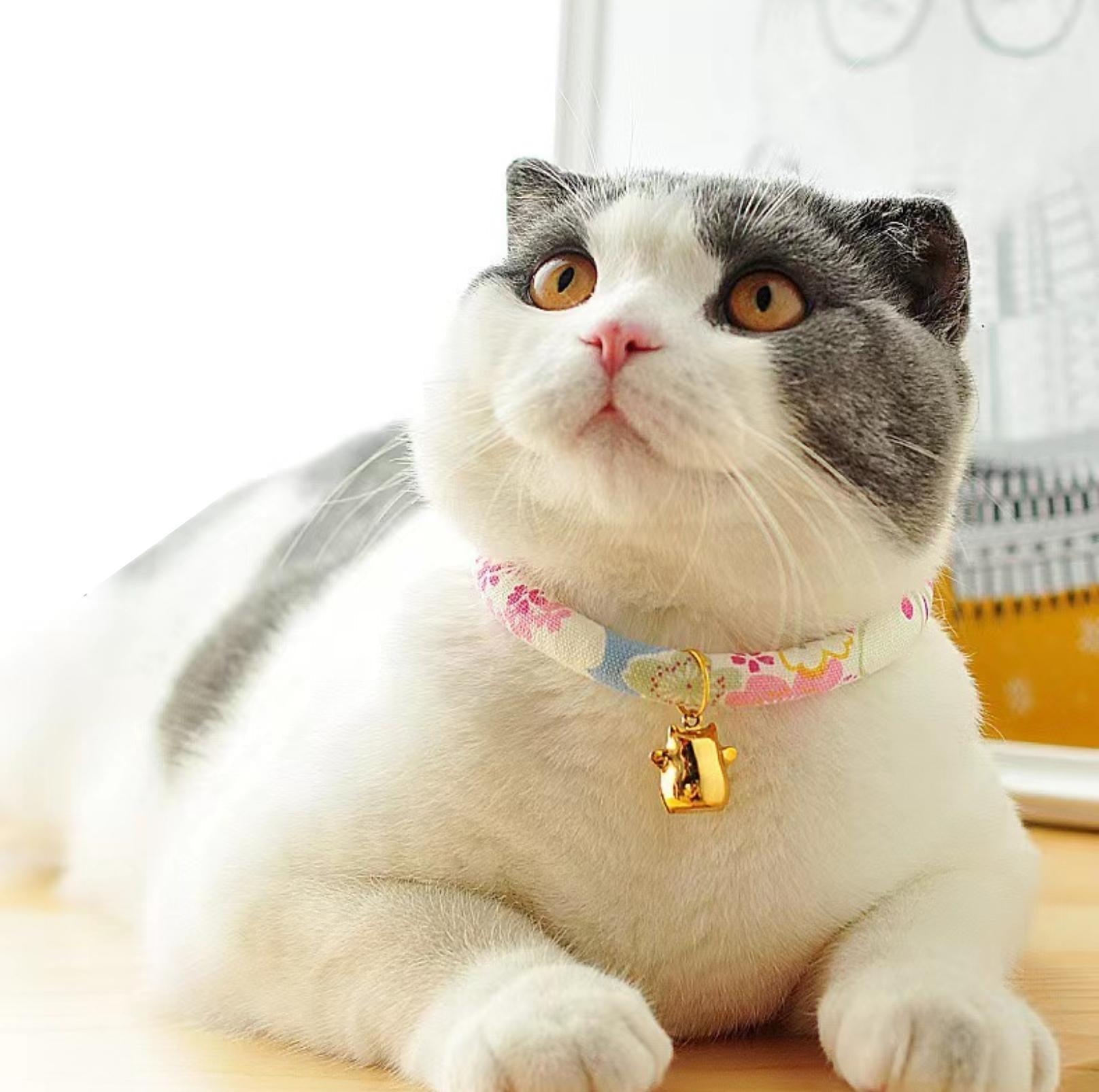 Waves And Flowers  Pet Collar