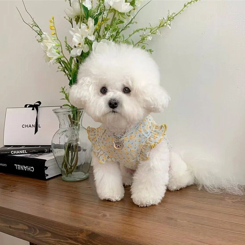Casual Cotton Color Block Pet Clothing