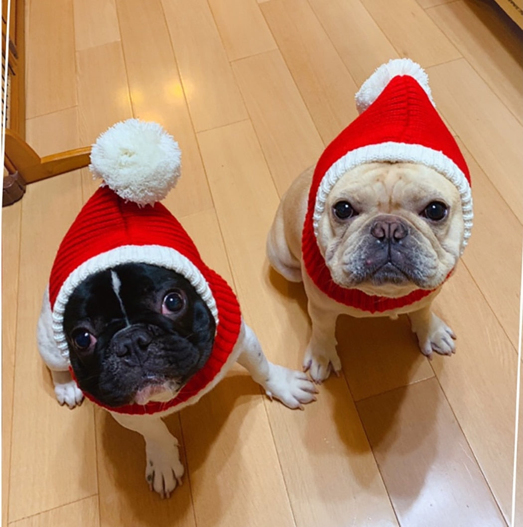 Knitted Warm Hat For Dogs