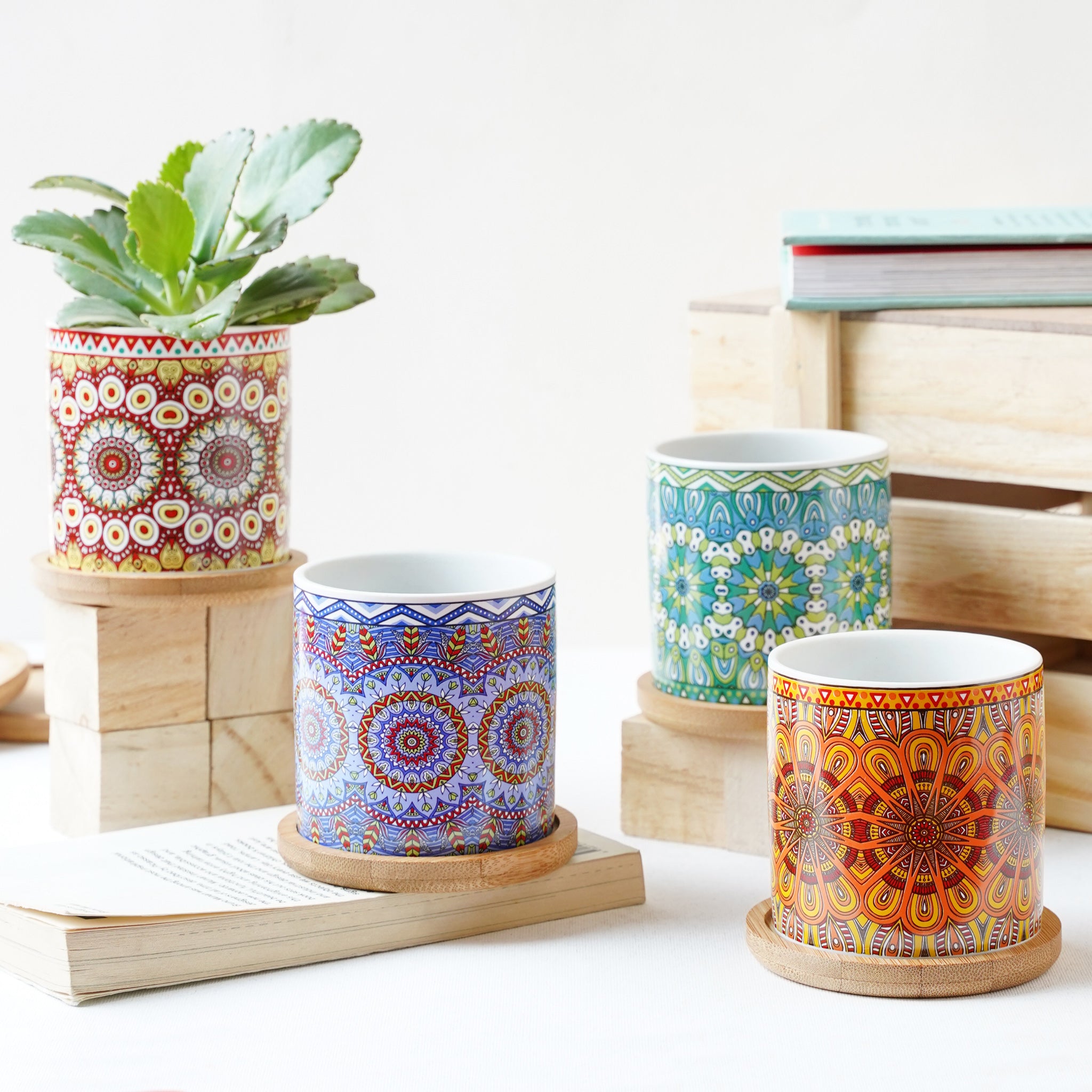 House Plant Pots