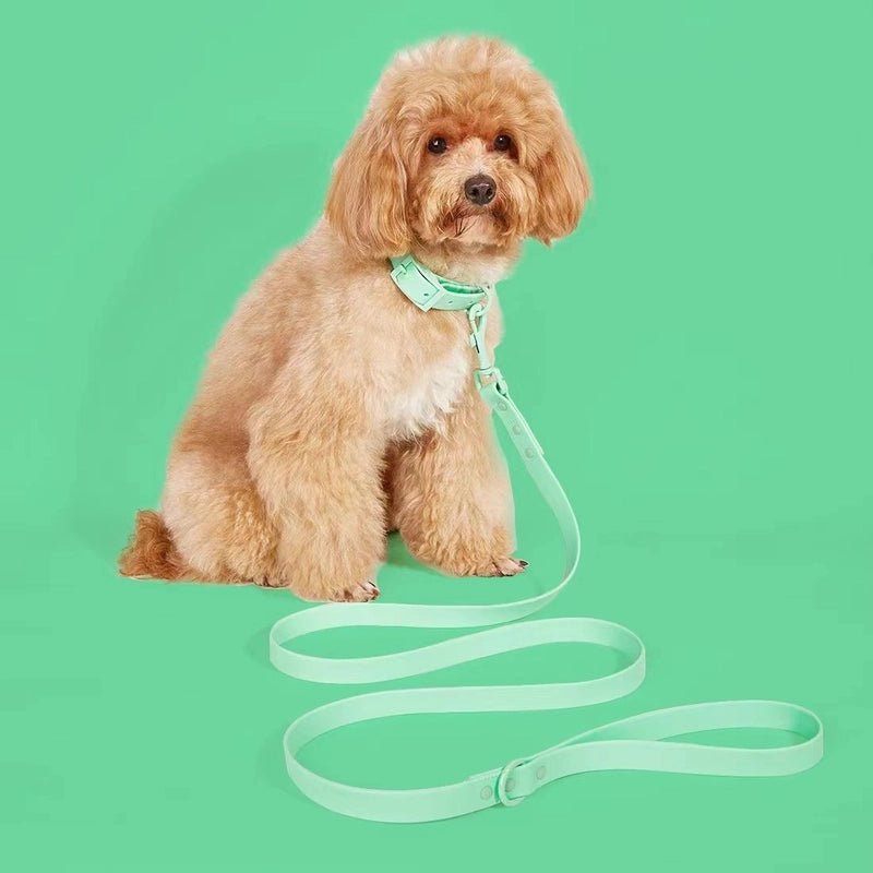 New Style Waterproof And Washable Dog Collar Leash