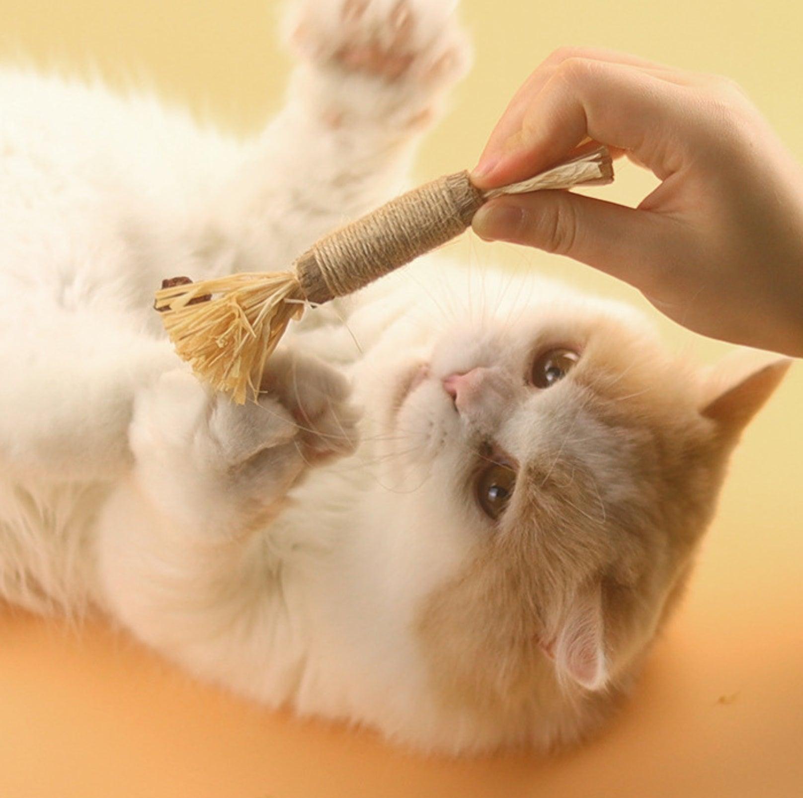 Feathered Catnip Stick Cat Toy