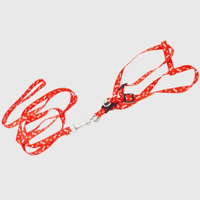 Pet Dog Red Cute Leash