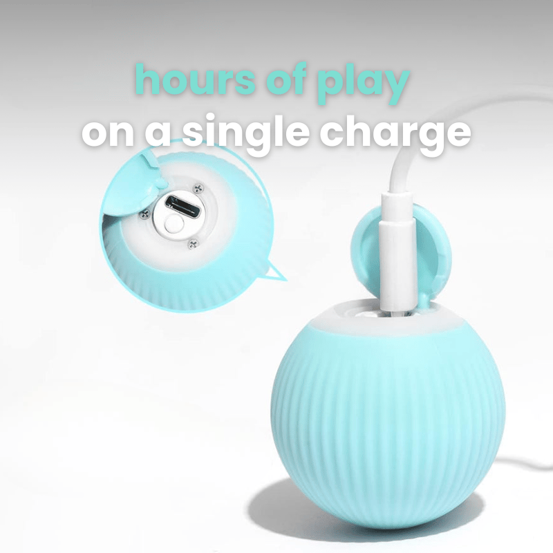 🎁2023-Christmas Hot Sale🎁The original rolling smart ball