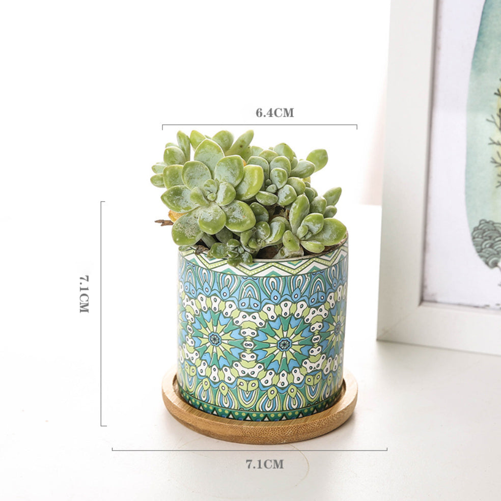 House Plant Pots