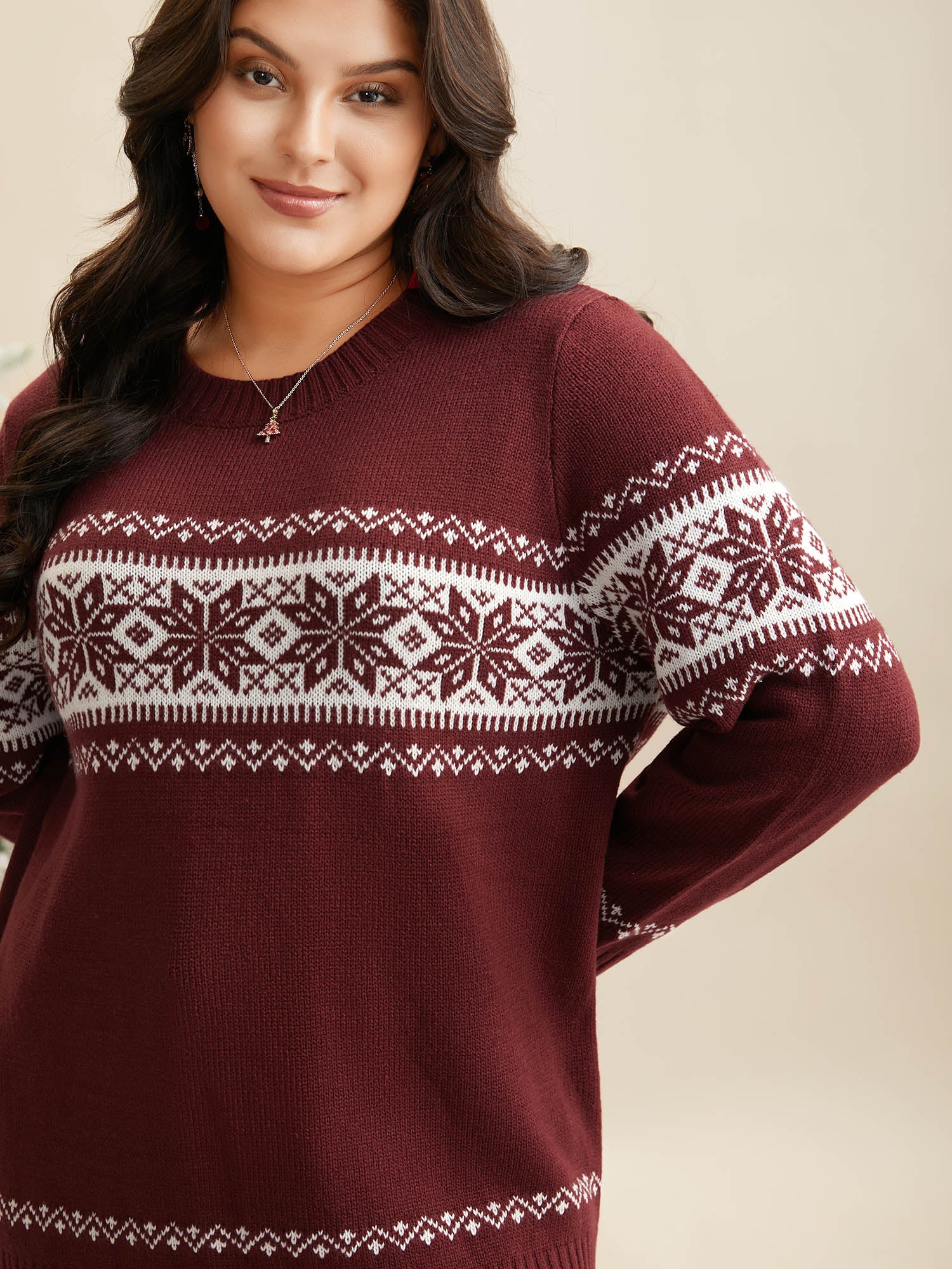 Snowflakes Embroidery Crew-Neck Pullover