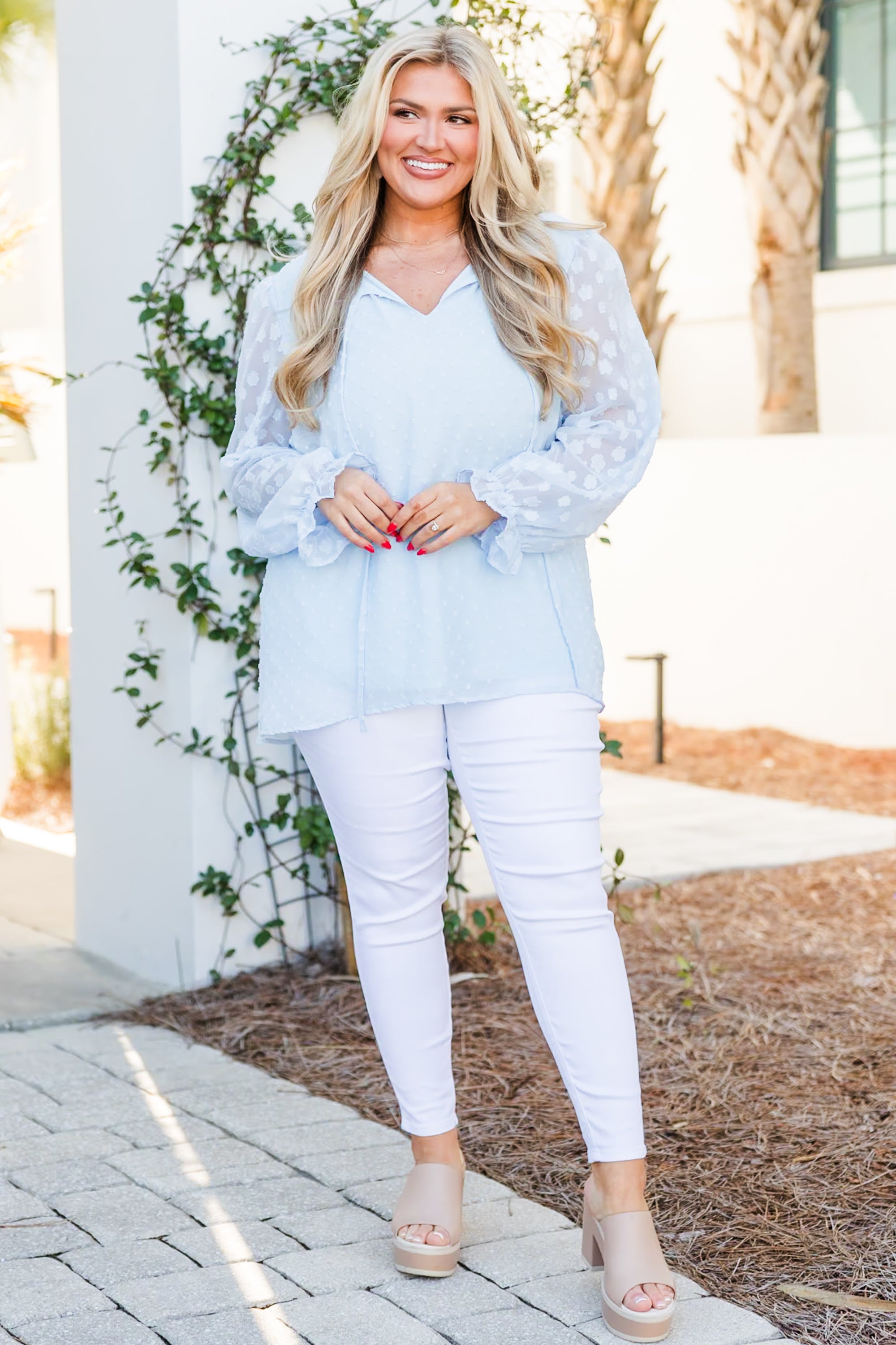 Bluebirds Fly Top. Pale Blue