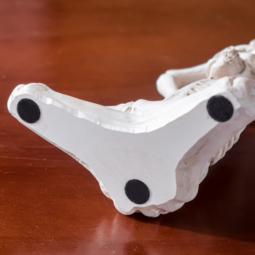 Yoga Skeleton Showpiece White Set Of 3
