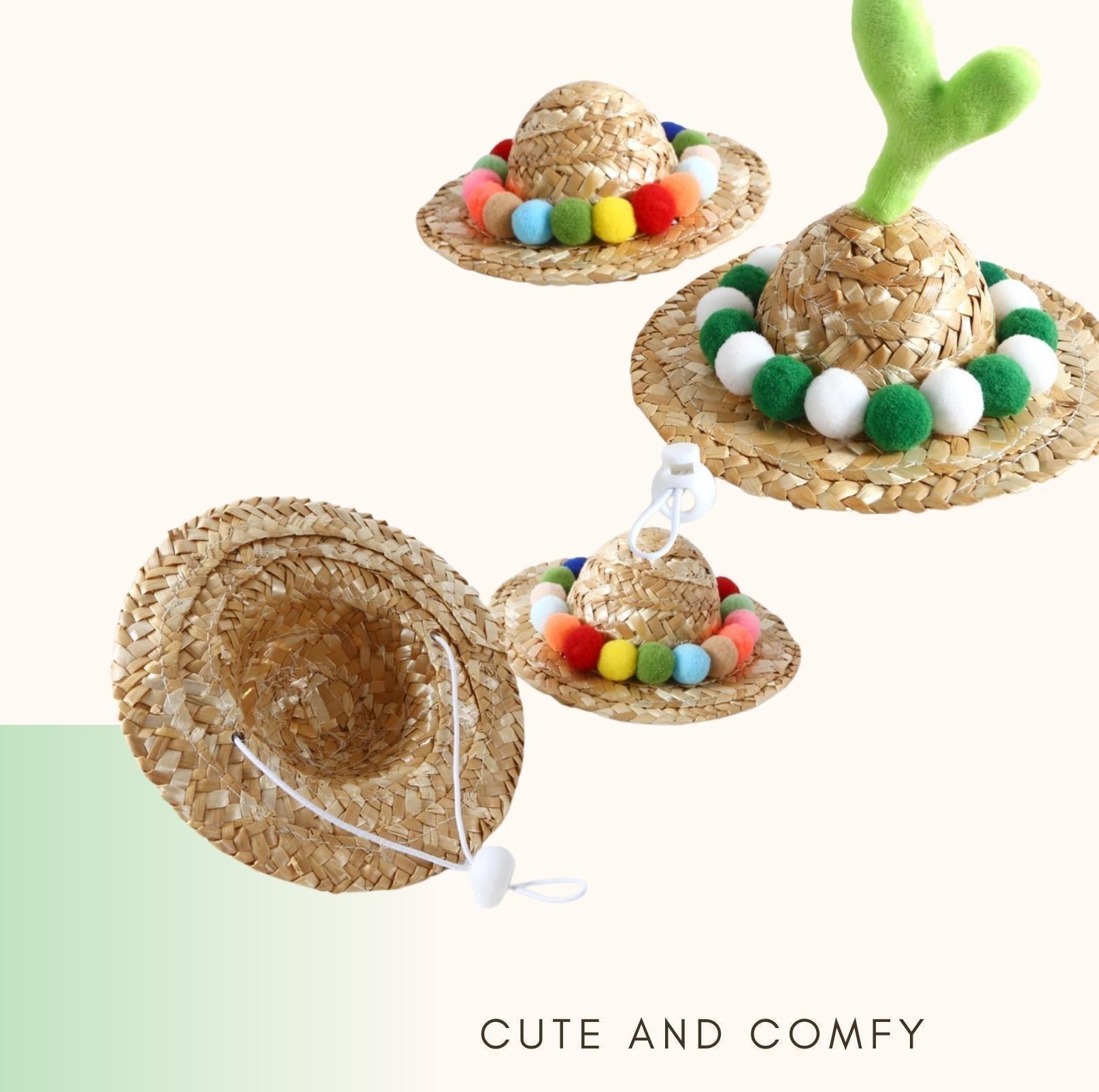 Unique Style Pet Straw Hat