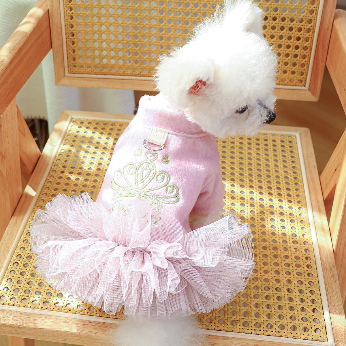 Crown Printed Warm Dog Lace Dress