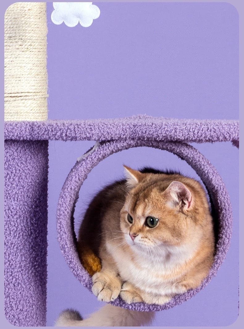 165cm |150cm Dream Cat Scratching Tree – Purple