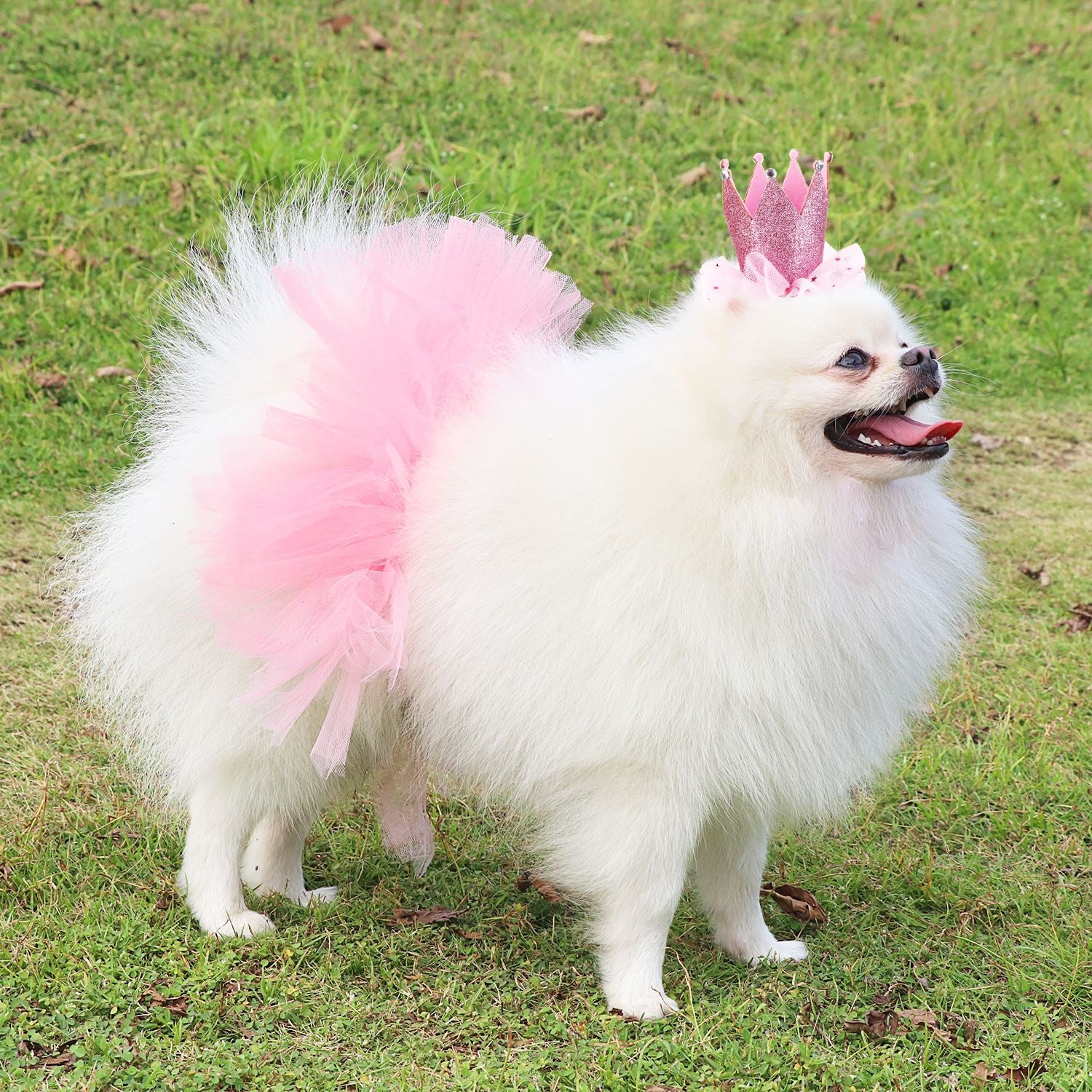 Tutu Skirts For Dogs