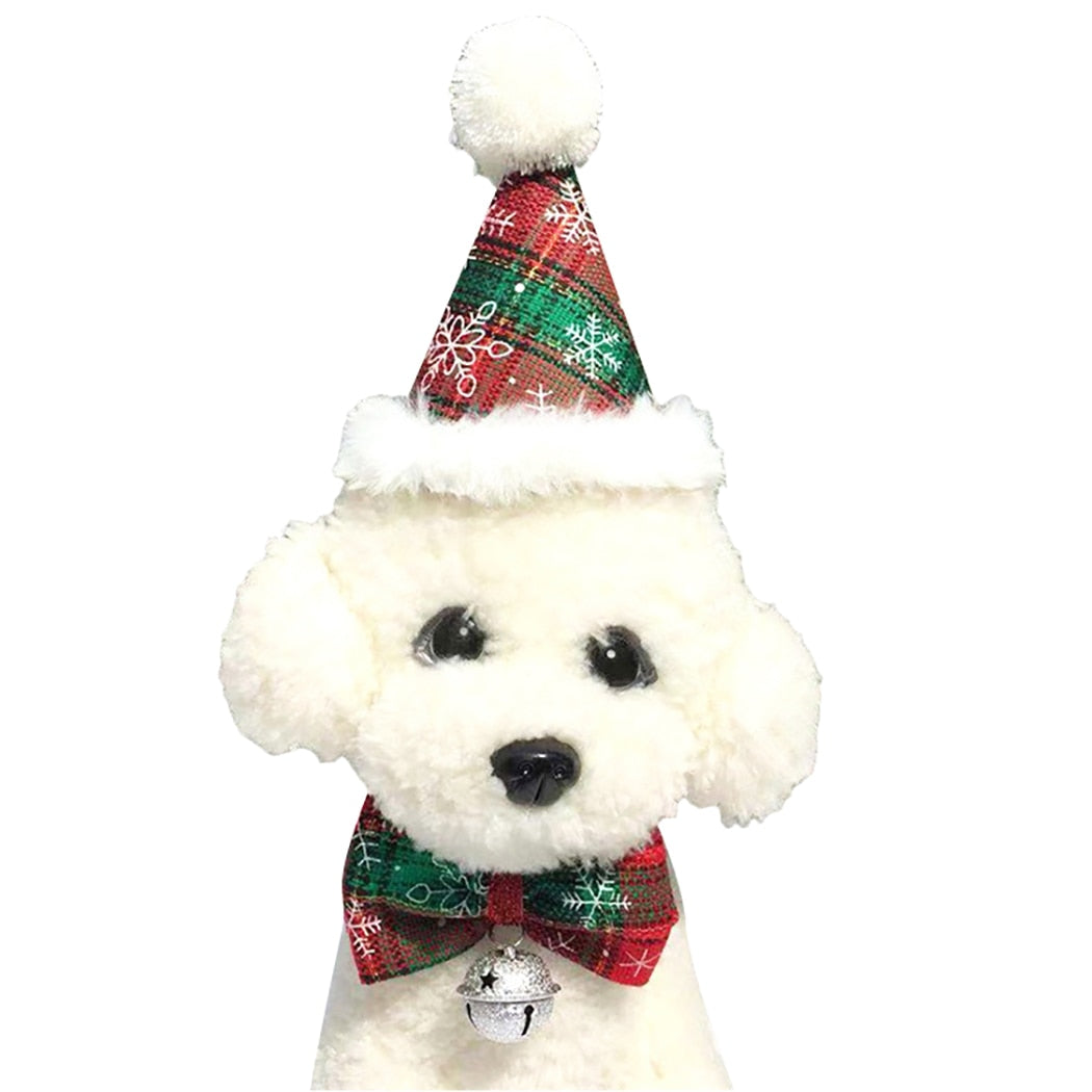 Christmas Set For Dogs