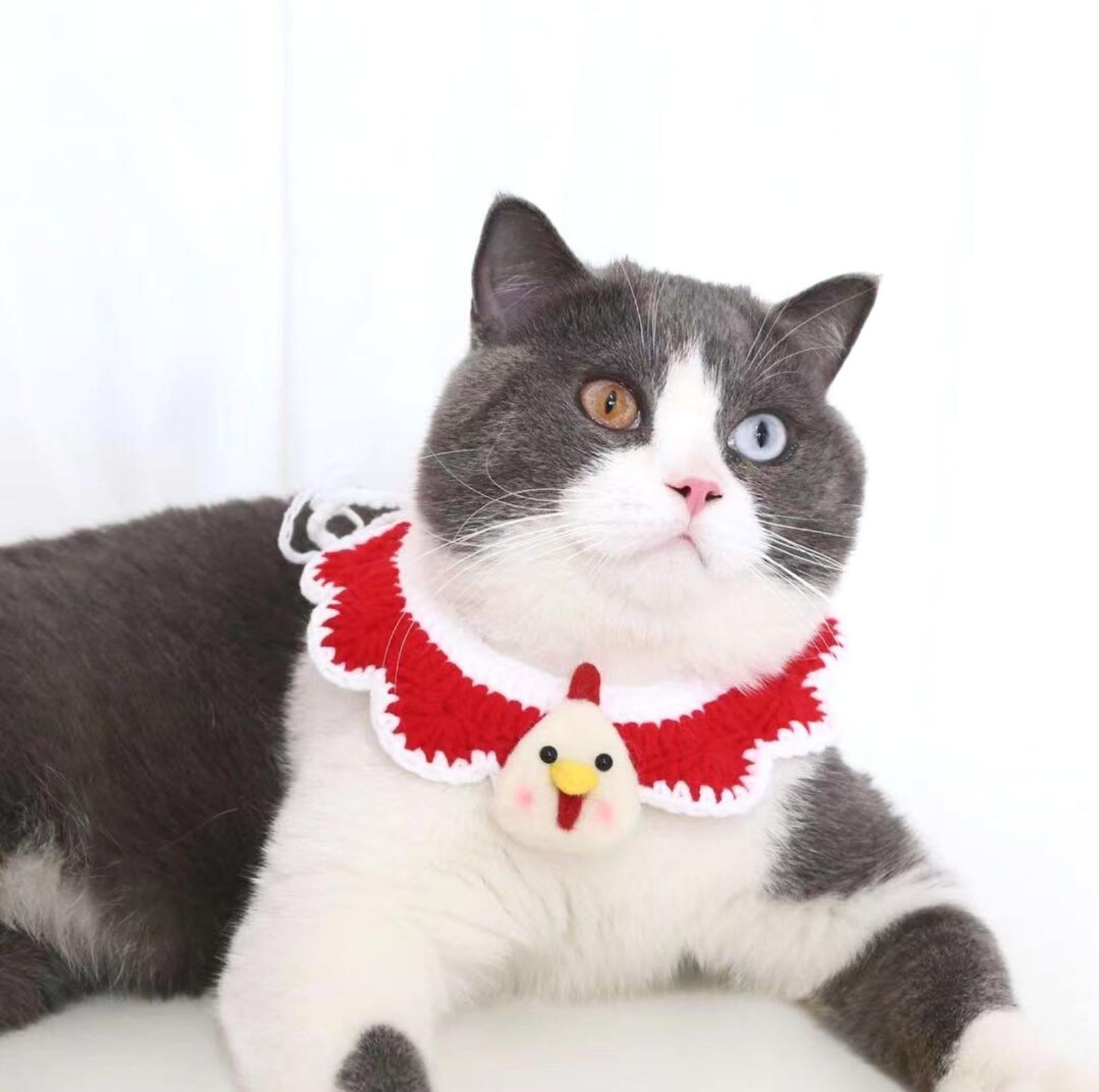 Little Animal Friends Style Knitted Woolen Bibs for Pets