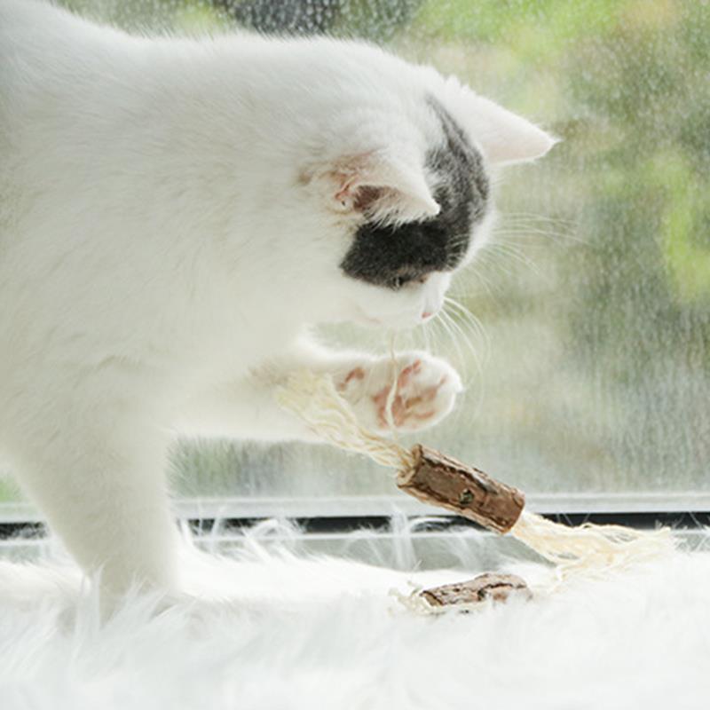 2Pcs Catnip Chew Toy for Cat