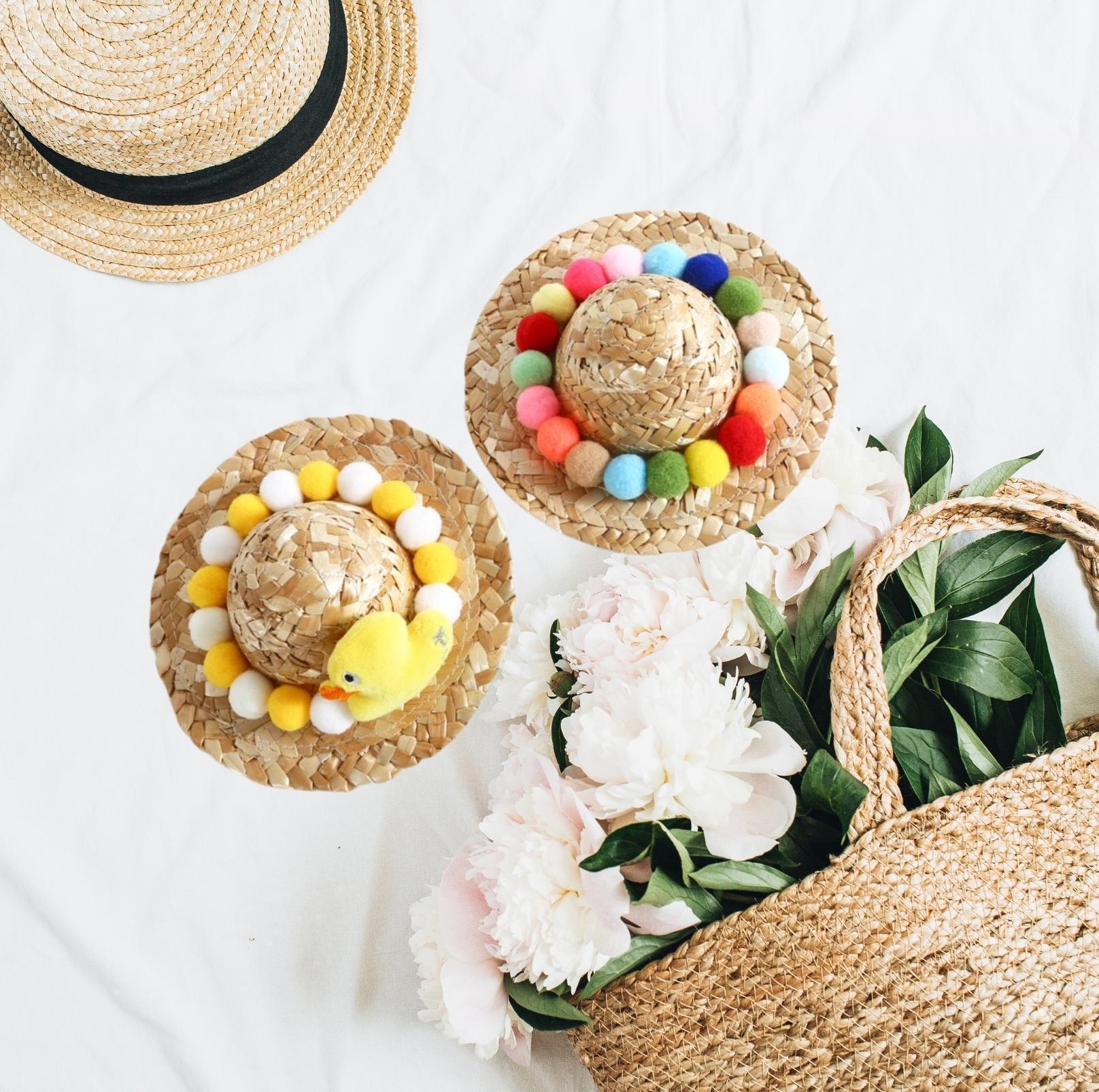 Unique Style Pet Straw Hat