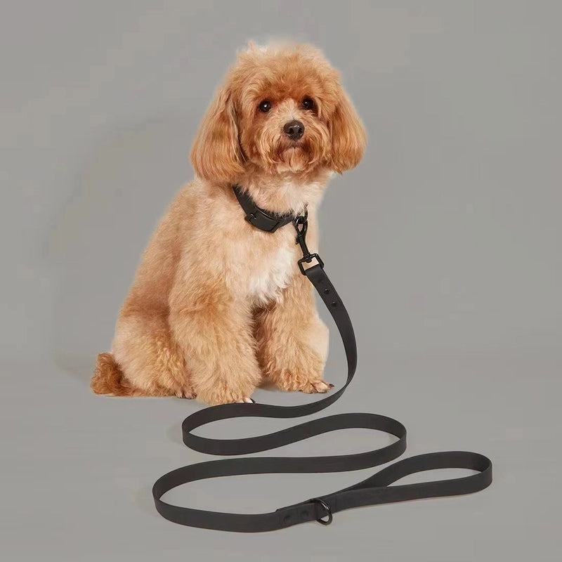 New Style Waterproof And Washable Dog Collar Leash