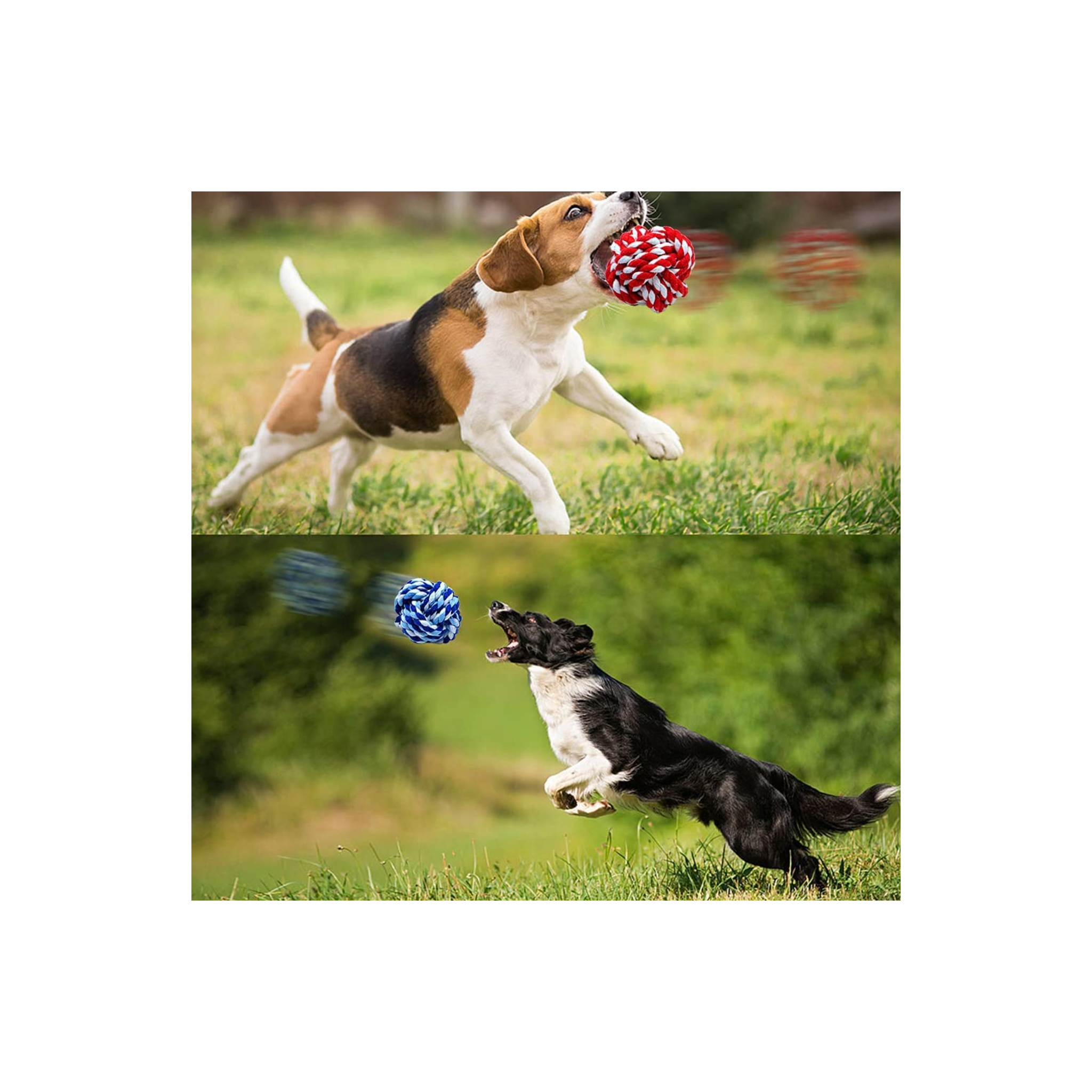 Ball Rope Toy(Pack of 2)