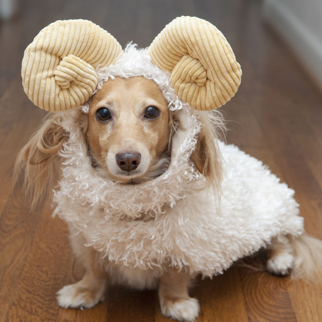 Goat Costume Head Piece For Dogs