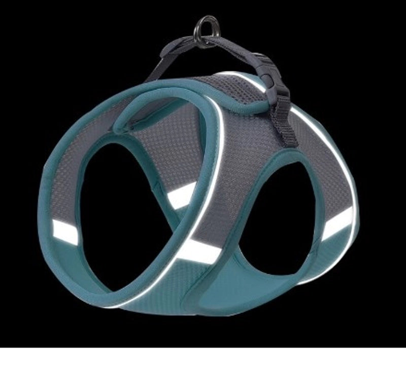 Minimalist Polyester Color Block Leash