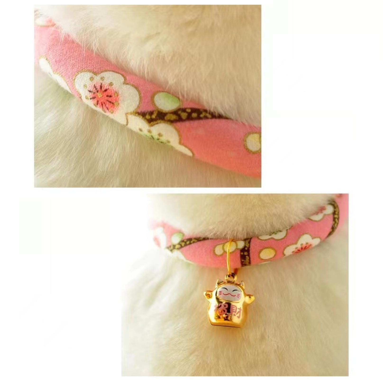 Flower Fusion Pet Collar