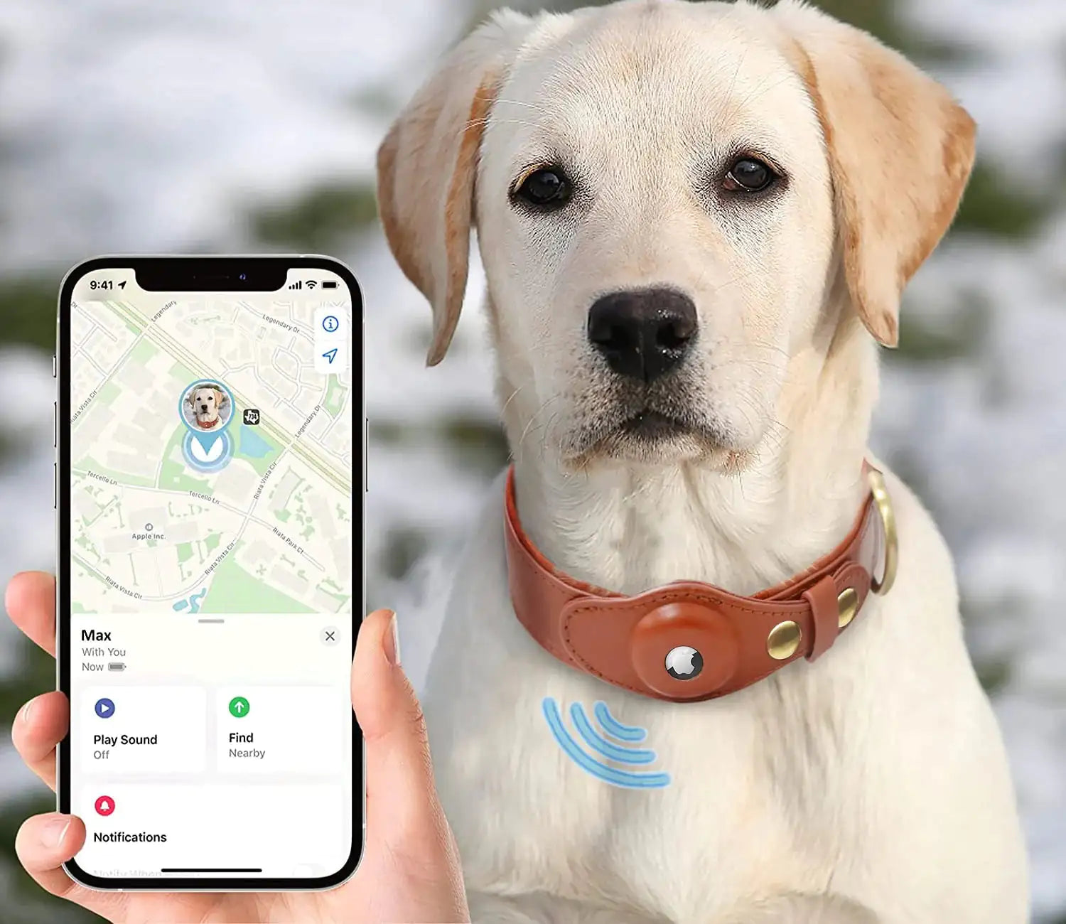 The Original Leath Collar - AirTag Holder