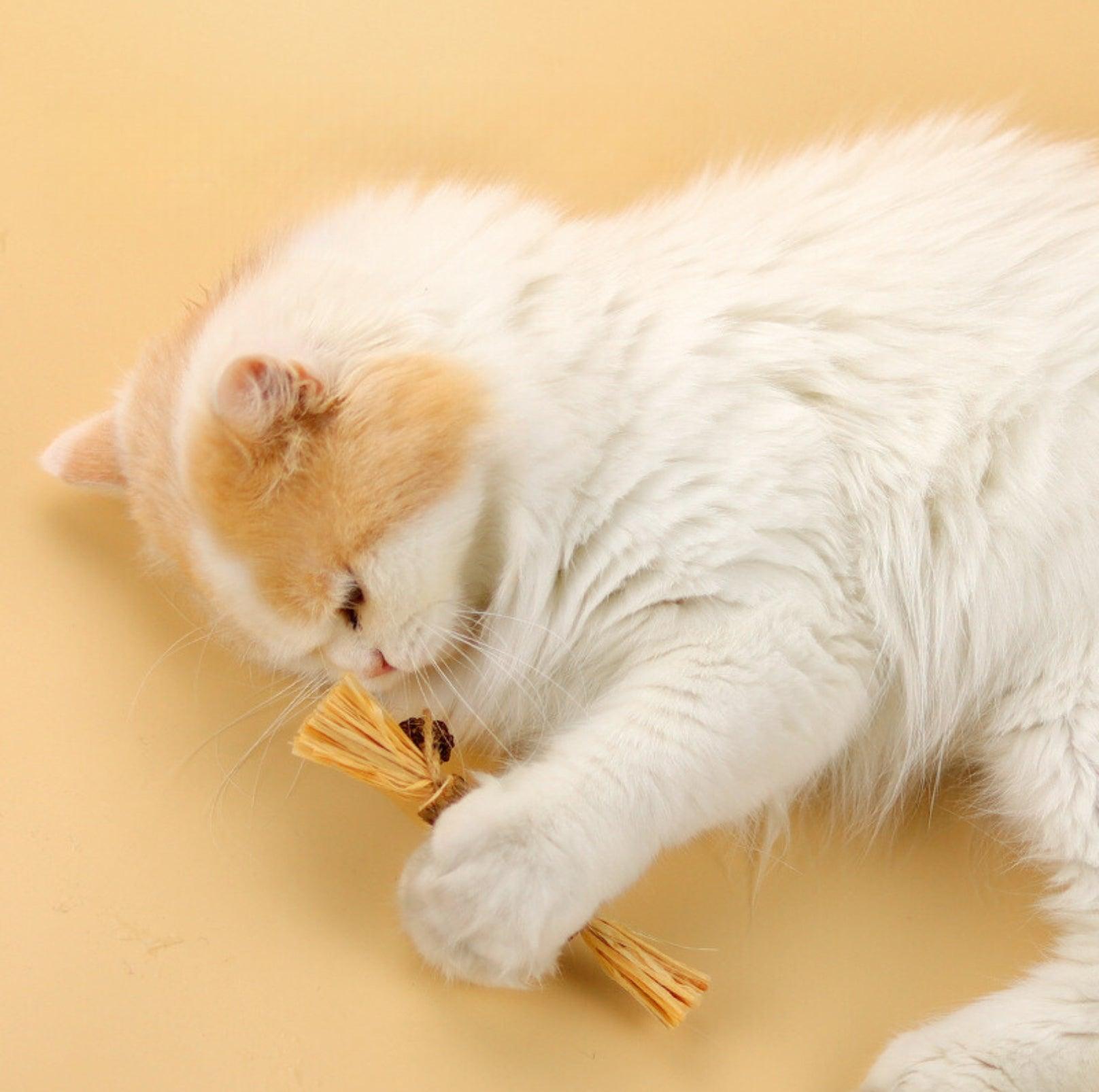 Feathered Catnip Stick Cat Toy