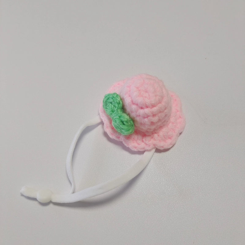 Cute Acrylic Animal Pet Hat
