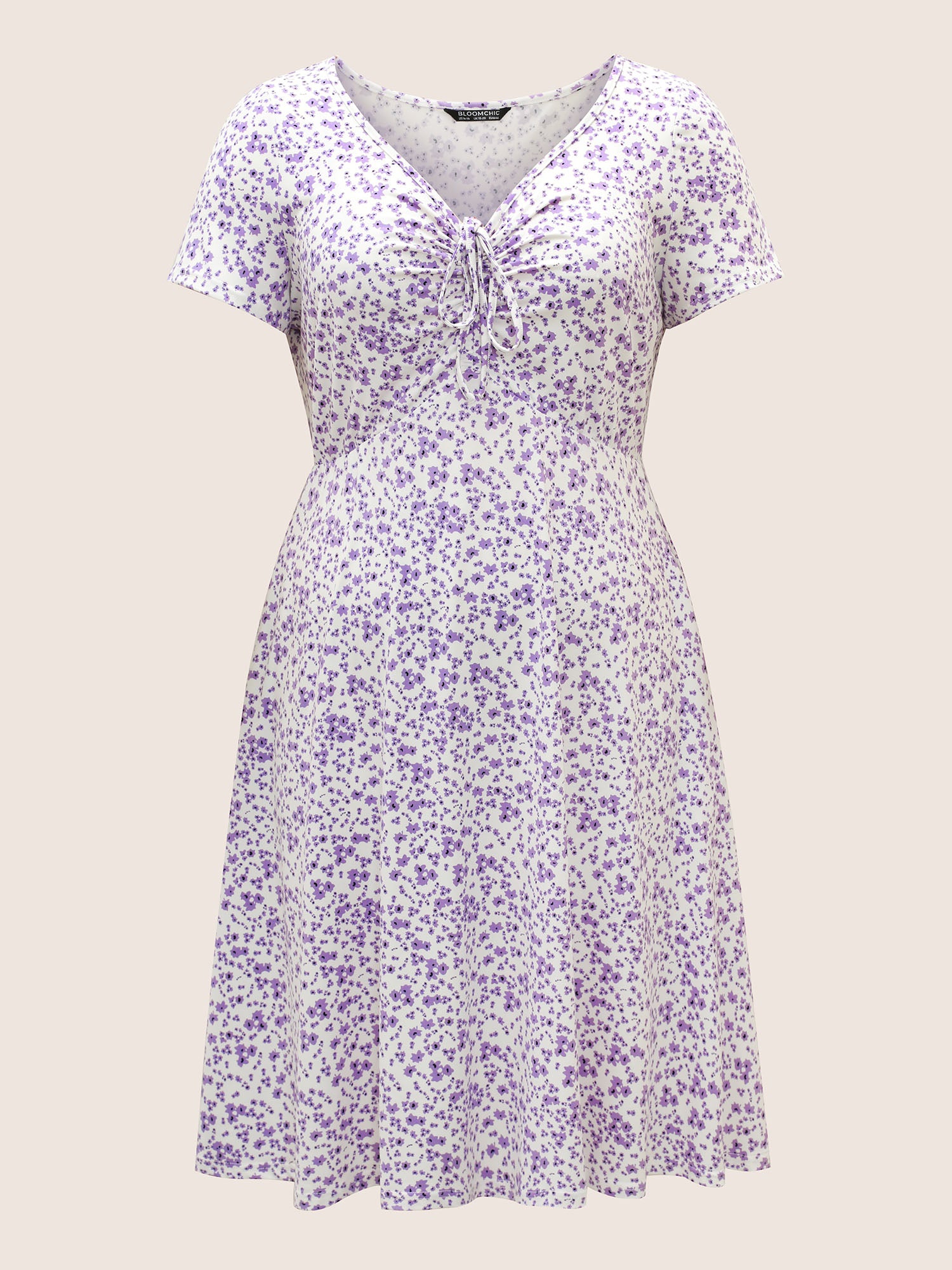 Ditsy Floral Elastic Waist Knot Drawstring Dress